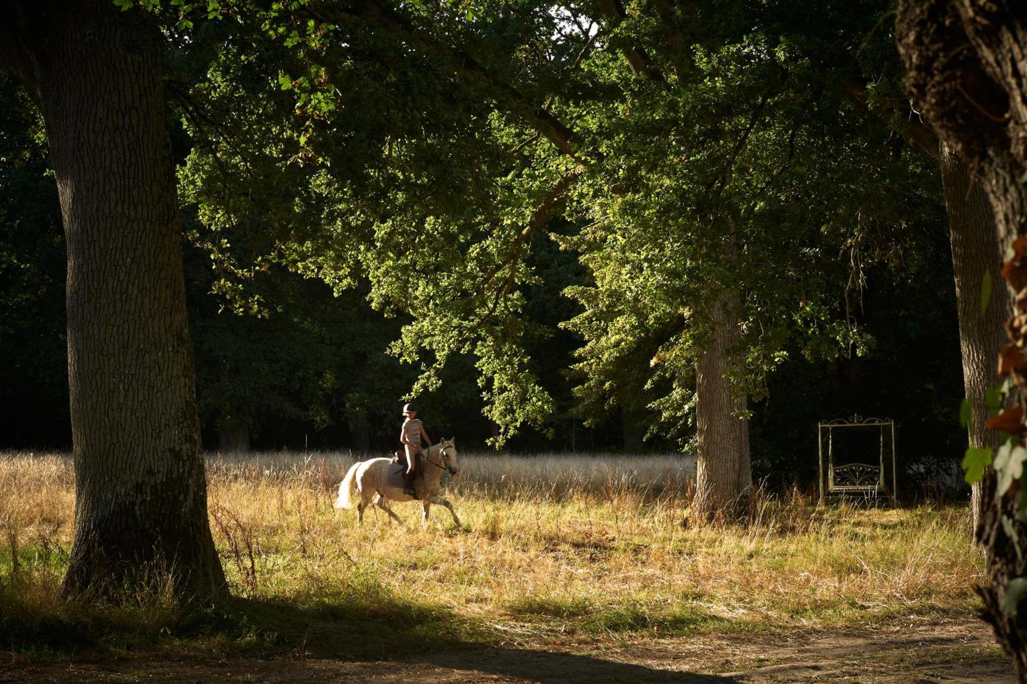 Les Sources De Cheverny Exteriör bild